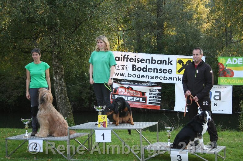 IMG_8568 - Kopie.JPG